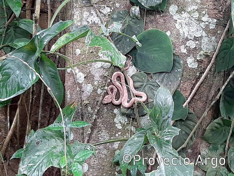 20. Parque Nacional Cahuita (Costa Rica)