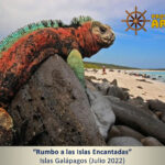Retomamos la expedición “RUMBO A LAS ISLAS ENCANTADAS” ECUADOR-ISLAS GALÁPAGOS