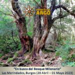En busca del bosque milenario, Las Merindades, Burgos