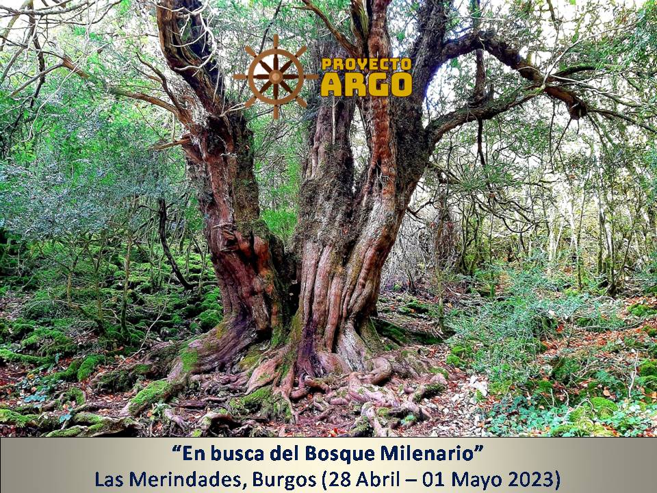 En busca del bosque milenario, Las Merindades, Burgos