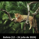 Programa Bolivia 2024 – 12 a 26 Julio 2024