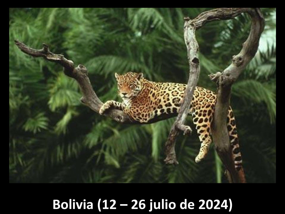 Programa Bolivia 2024 – 12 a 26 Julio 2024